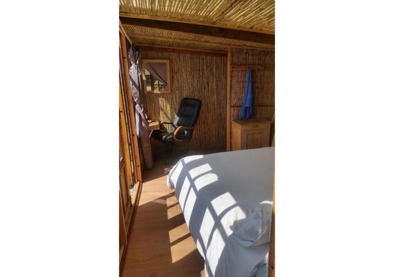 Treehouse ,Casa Arbol, With Spa Алгаробо Екстериор снимка