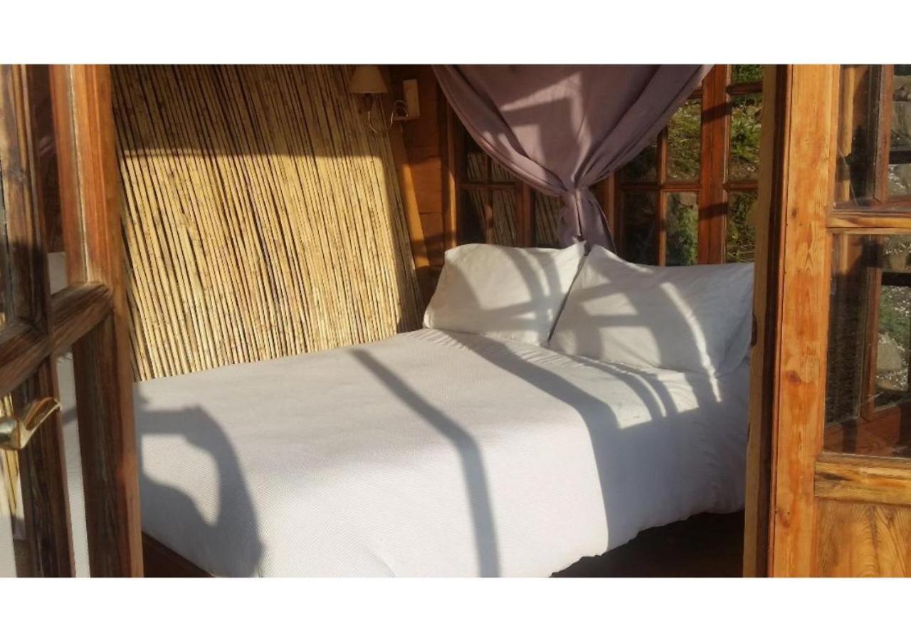 Treehouse ,Casa Arbol, With Spa Алгаробо Екстериор снимка