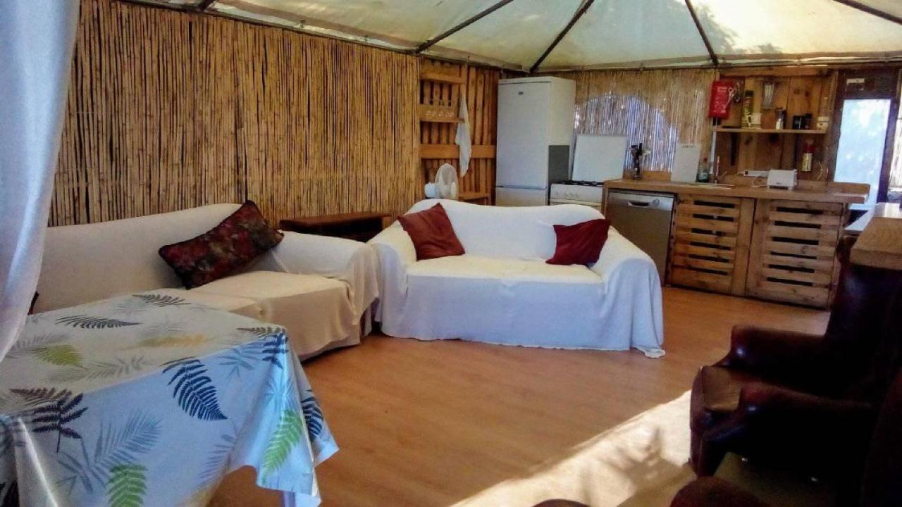 Treehouse ,Casa Arbol, With Spa Алгаробо Екстериор снимка