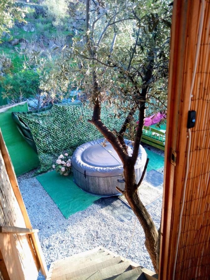 Treehouse ,Casa Arbol, With Spa Алгаробо Екстериор снимка