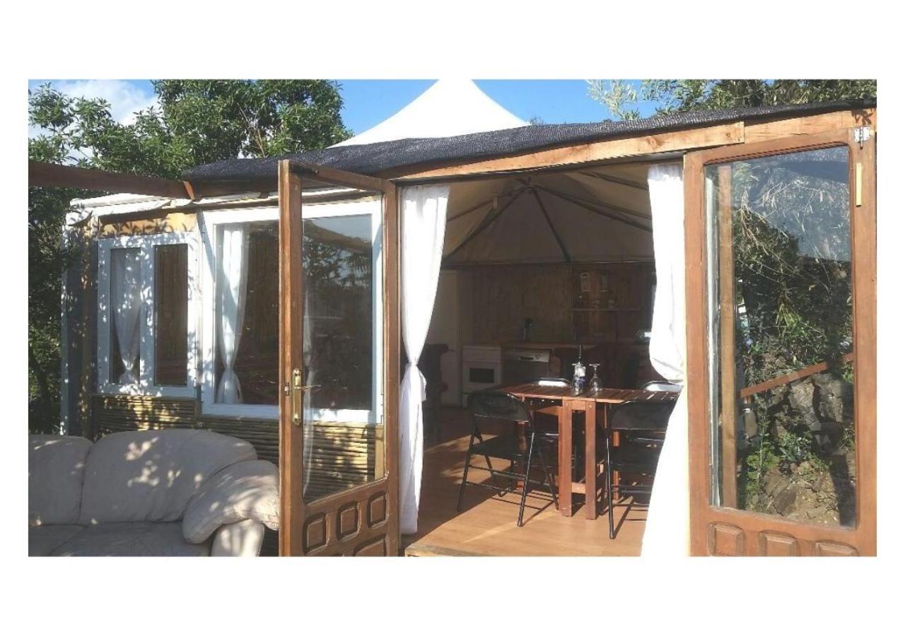 Treehouse ,Casa Arbol, With Spa Алгаробо Стая снимка